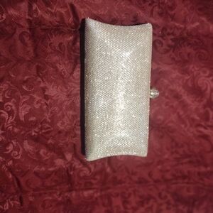 Elegant Silver Clutch Bag